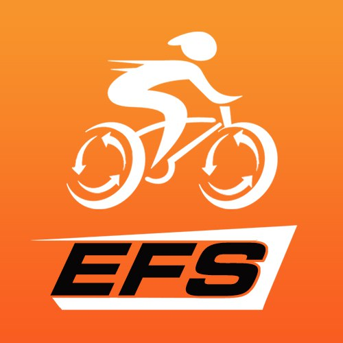 EFS Media Technology Inc. Focuses on a Low-Carbon Future, Global Partner Network to Drive Urban Transportation Transformation