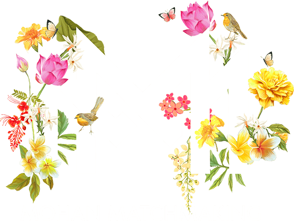Mohan Matchmaking: Revolutionizing South Asian Dating with Anip Patel's Vision